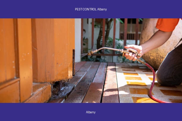 PEST CONTROL Albany